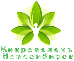 микрозелень новосибирск